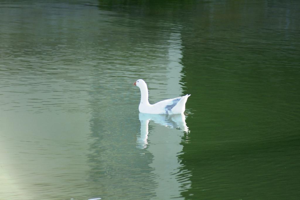 Le Marina B&B Velddrif Dış mekan fotoğraf