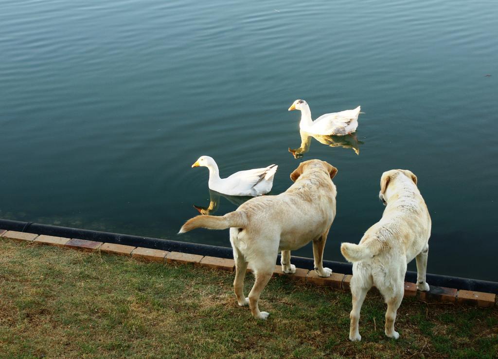 Le Marina B&B Velddrif Dış mekan fotoğraf