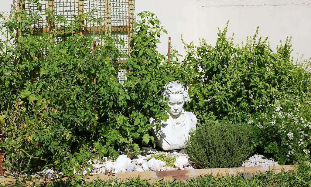 Le Marina B&B Velddrif Dış mekan fotoğraf