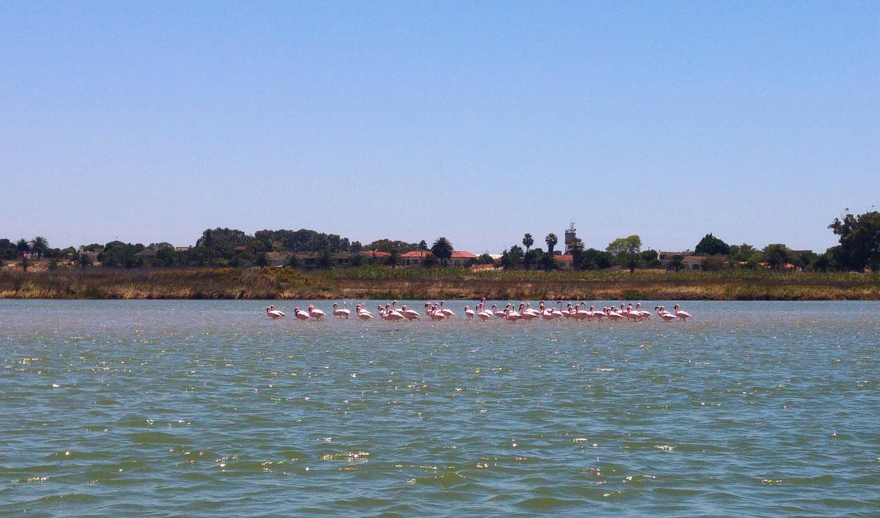Le Marina B&B Velddrif Dış mekan fotoğraf