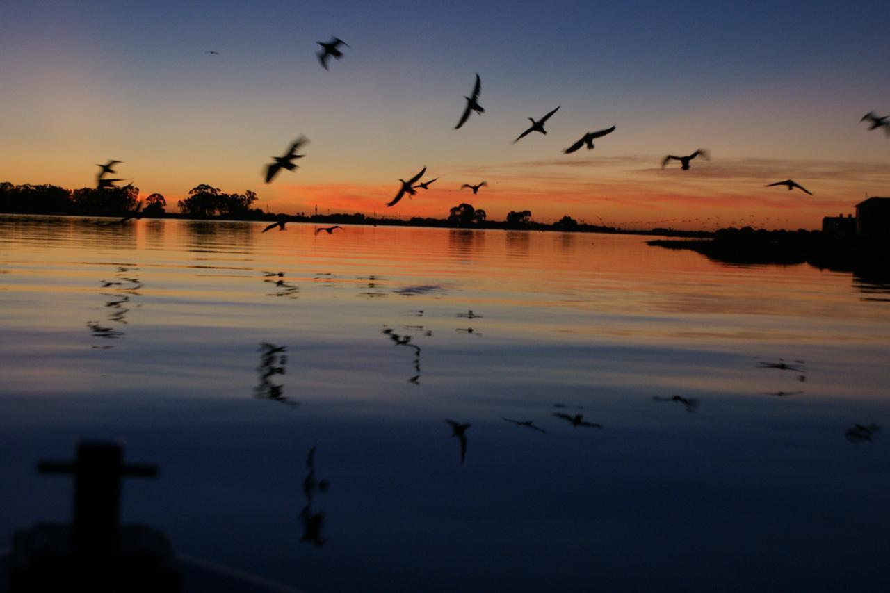Le Marina B&B Velddrif Dış mekan fotoğraf